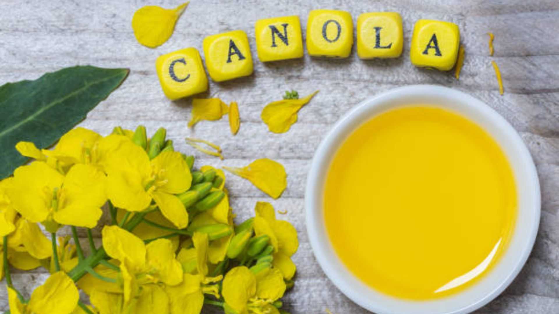 Nutrition of Canola oil