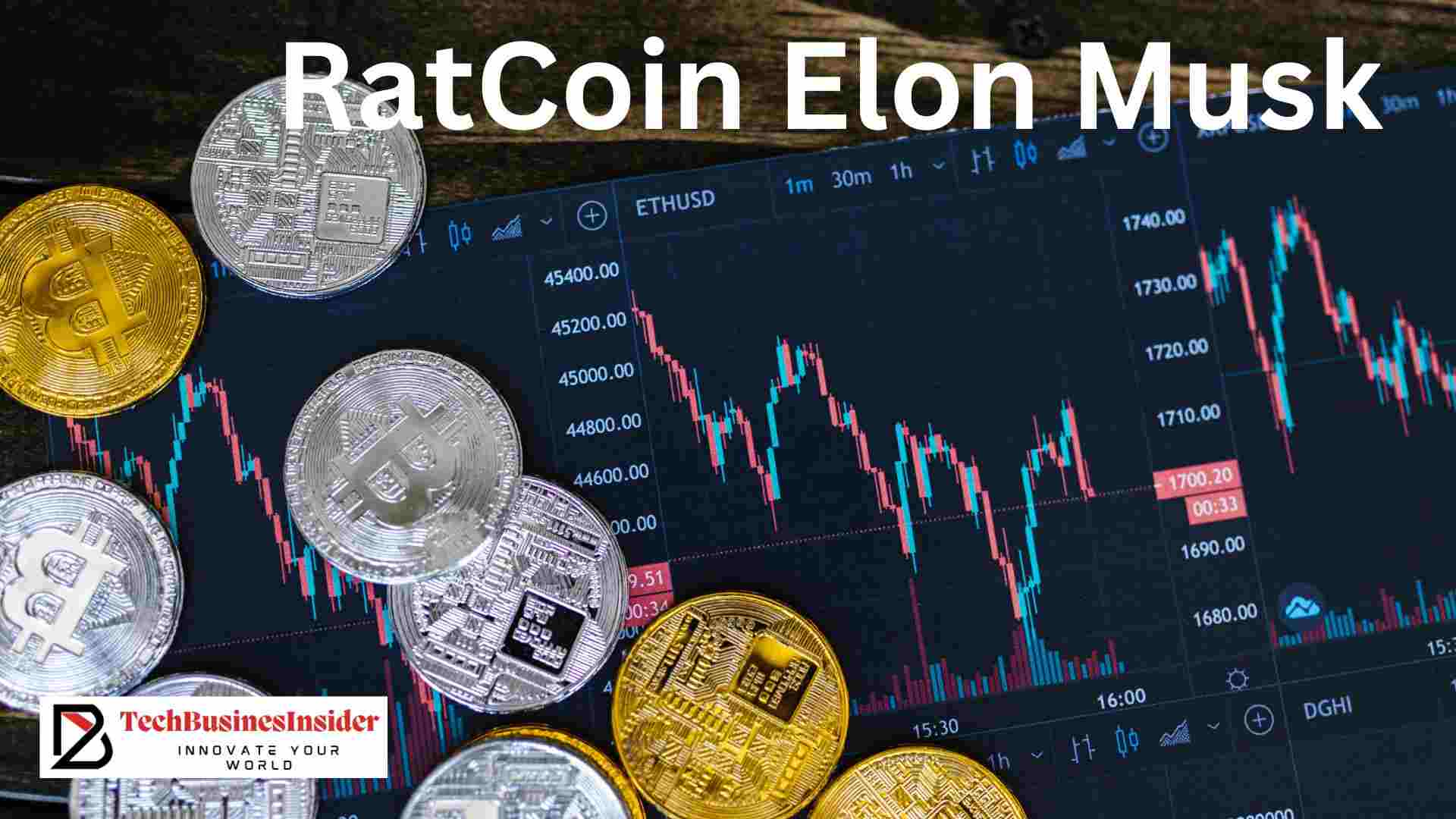 RatCoin Elon Musk: Is Elon Must Behind it? Price, Market & Volume