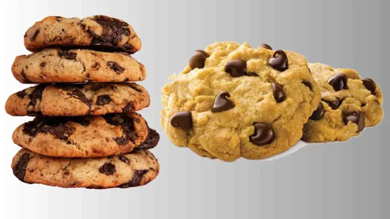 Insomnia Cookies: All You Need to Know