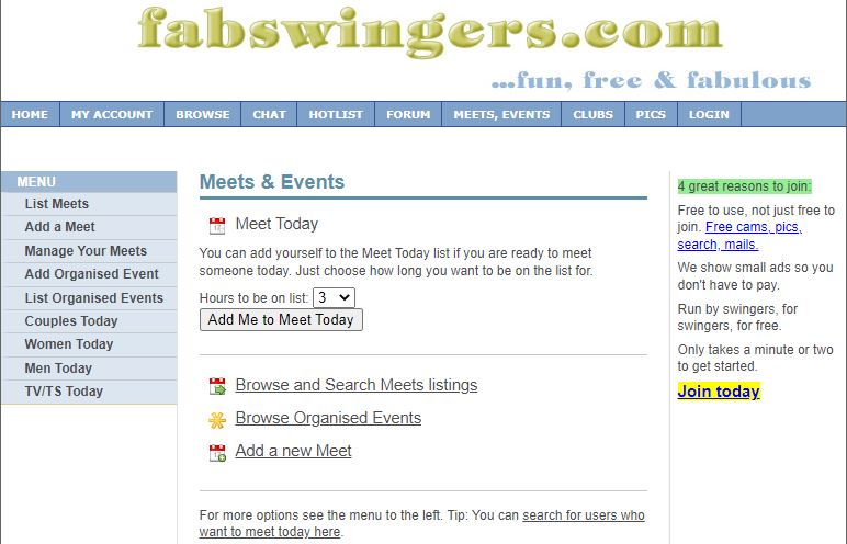 What FabSwingers has to offer?