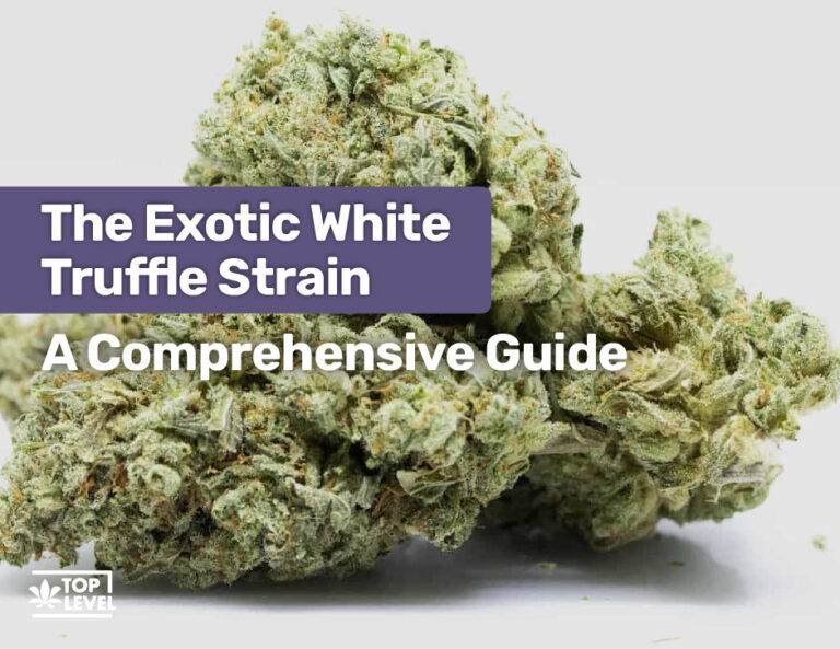 White Truffle Strain