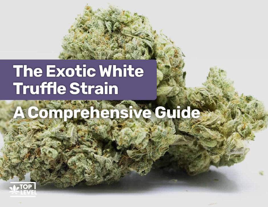 A detailed review and guide on White Truffle Strain, Hybrid Plant