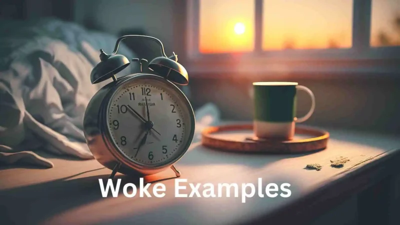 what does woke examples mean? Different Persepectives