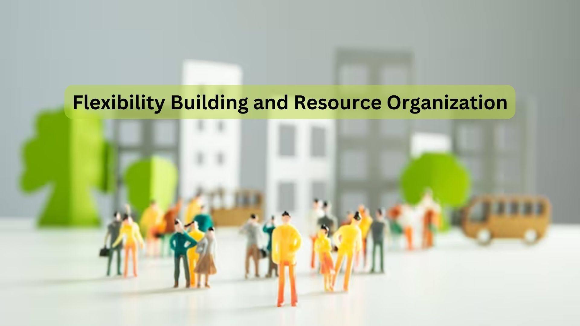 Flexibility Building and Resource Organization