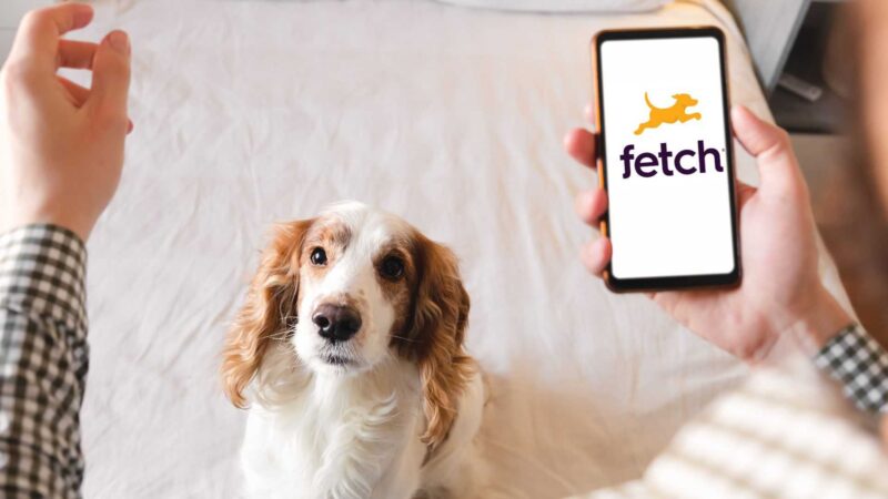 Fetch App Review – How to Download, Use and Earn Rewards