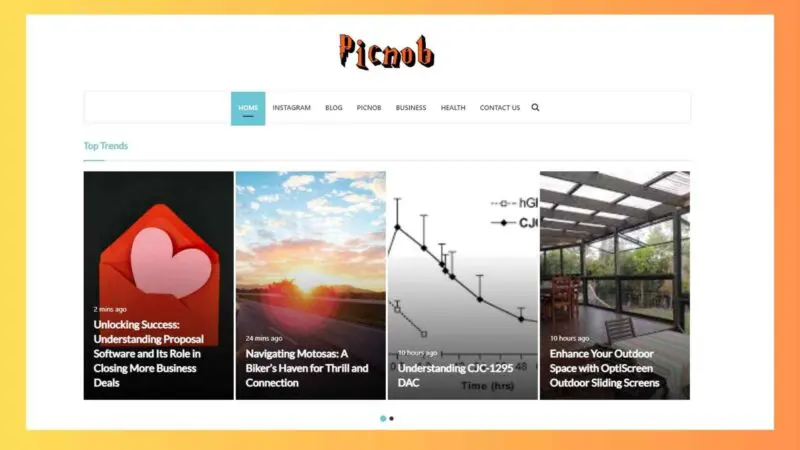 What is Picnob App? How does Picnob works? Complete Detail