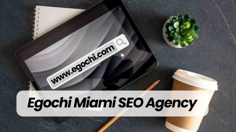 Egochi Miami SEO Agency – Providing Ummatched Services