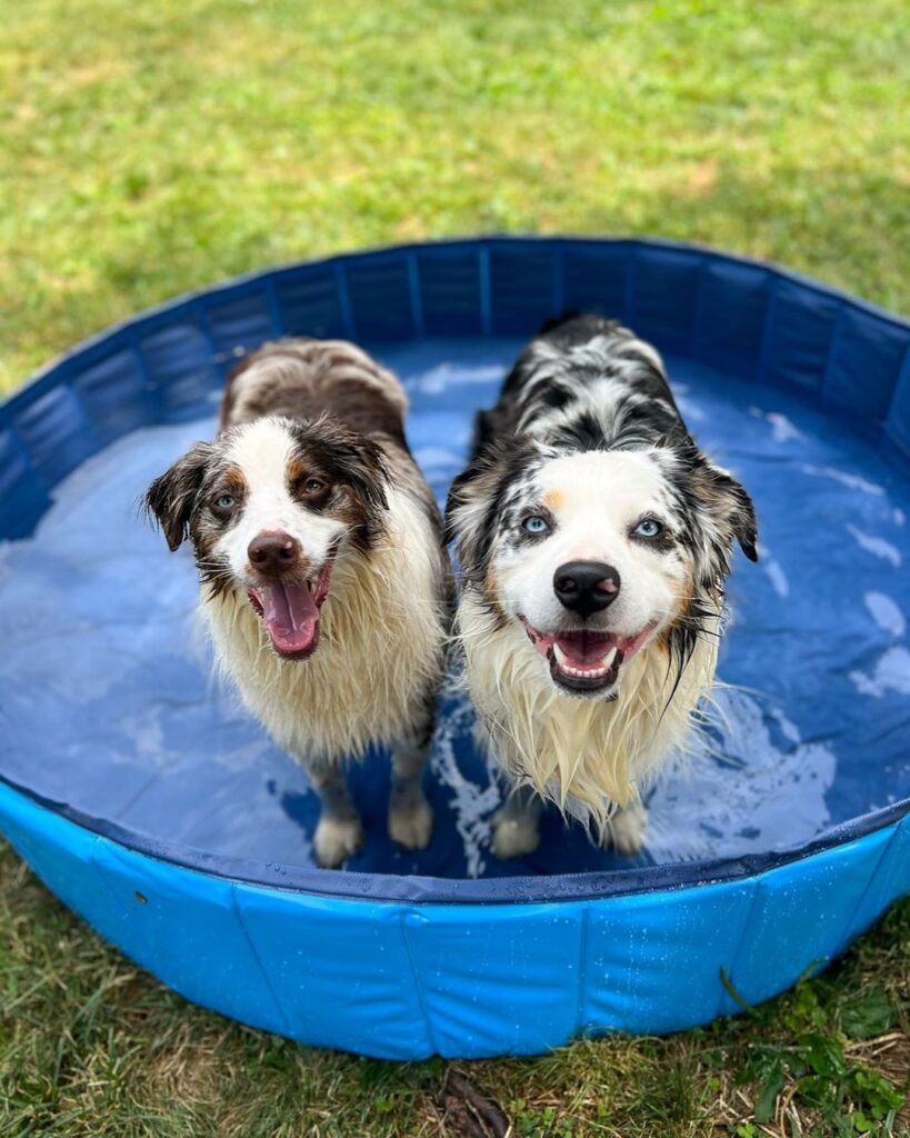 Bachelorette Pool Party